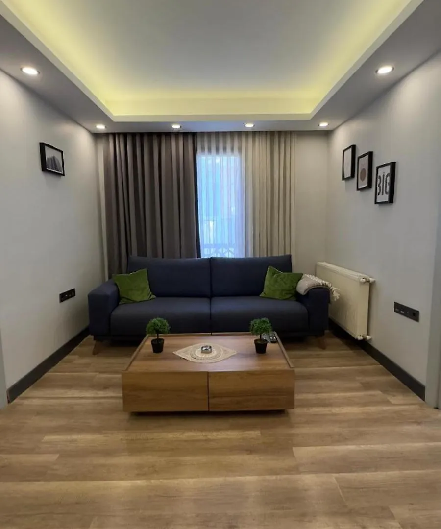 Oeztatli Suites Istanbul Apartment